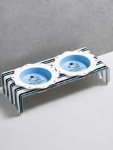 Modern Acrylic Double Bowl Feeding Station for Pets
