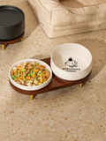 Clear Water Level Ceramic Pet Bowl with Raised Stand Design