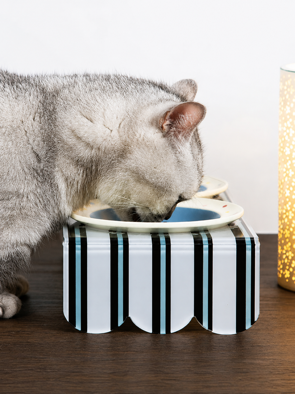 Modern Acrylic Double Bowl Feeding Station for Pets