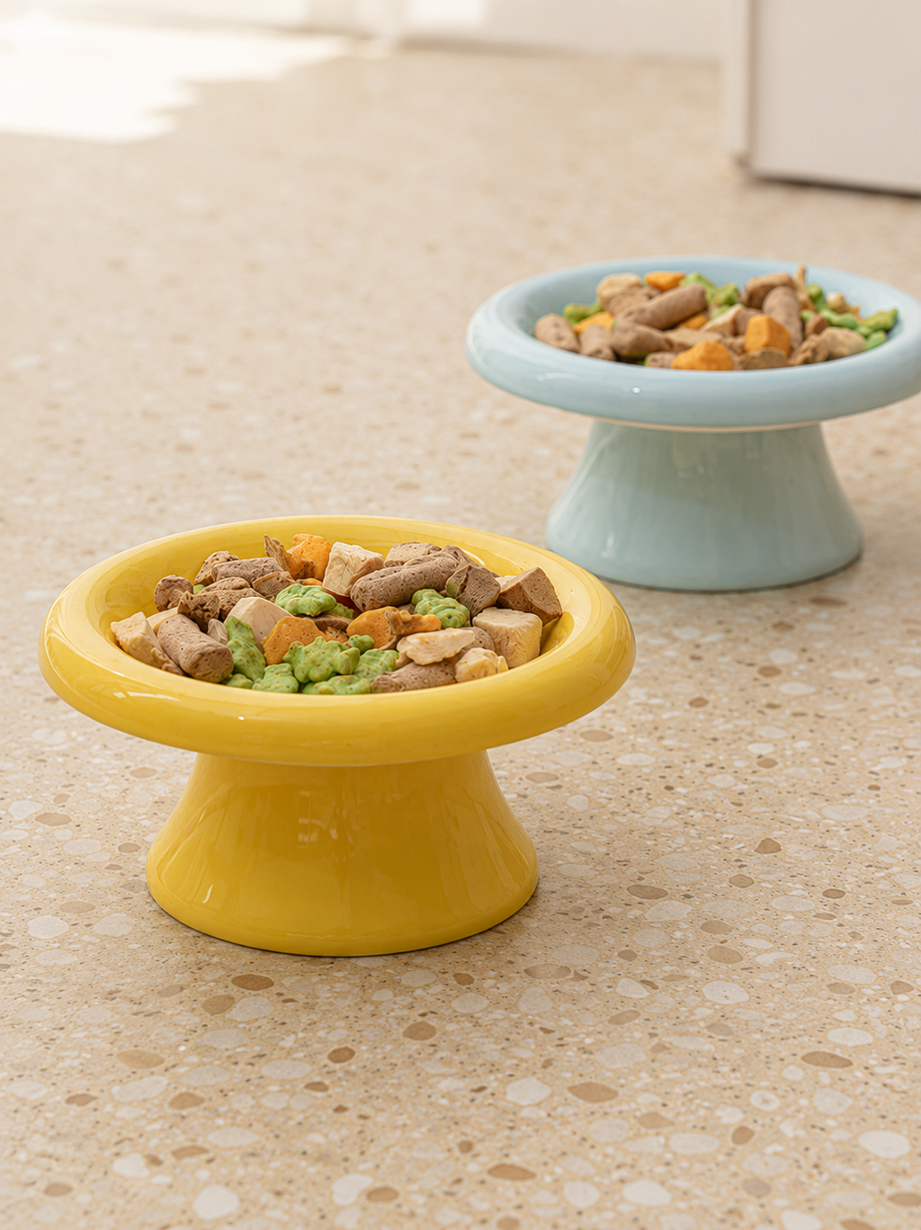 Premium Glazed Ceramic Pet Bowl with Elevated Feeding Design